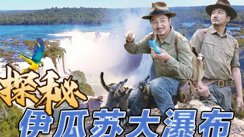Episode 306