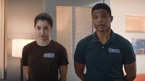 NCIS Havaí: Investigações Criminais: 2×16