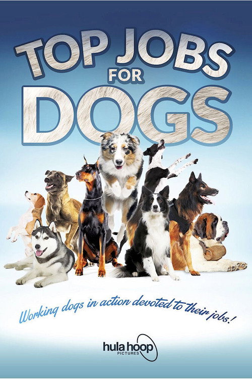 Top Jobs for Dogs poster