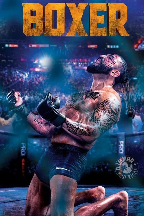 Boxer movie poster player