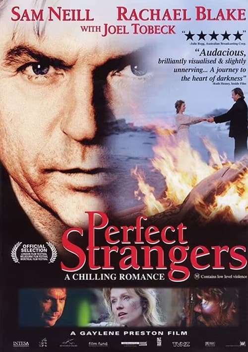 Poster Perfect Strangers 2003