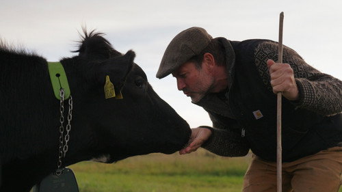 It sprouts and grows