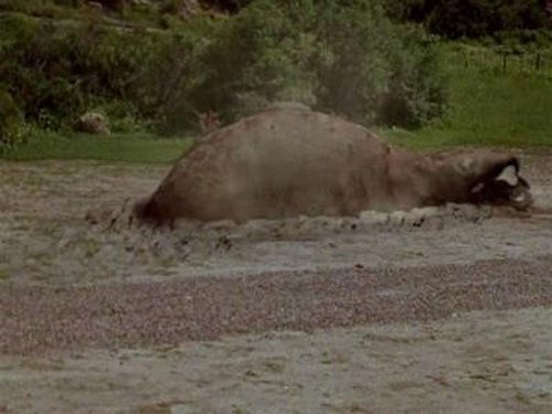 Tremors, S01E11 - (2003)