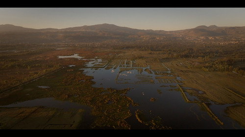Naciente — Backdrops 1