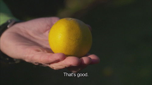 Cycle Around Japan - Miyazaki: Through a Sunlit Land