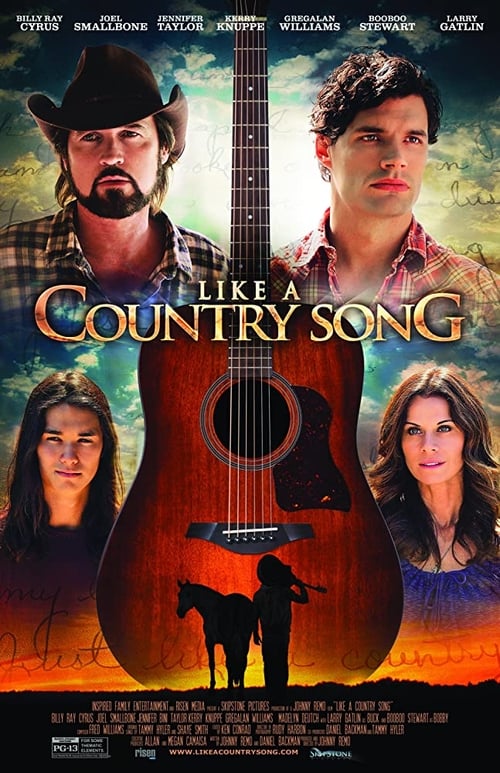 Like a Country Song 2014