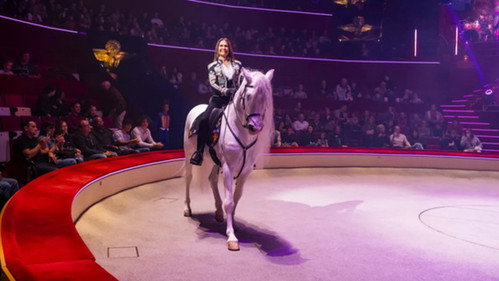 Délire au Cirque d'Hiver Bouglione de Paris