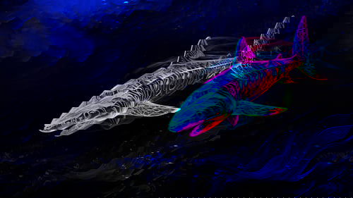 Sharktopia Sharktopia