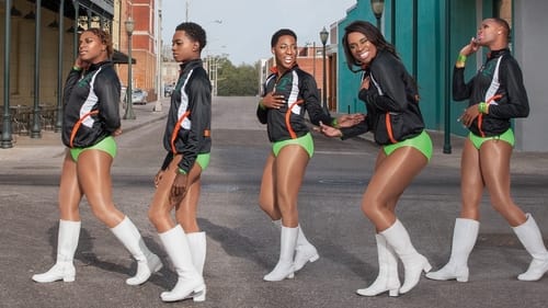 Poster The Prancing Elites Project