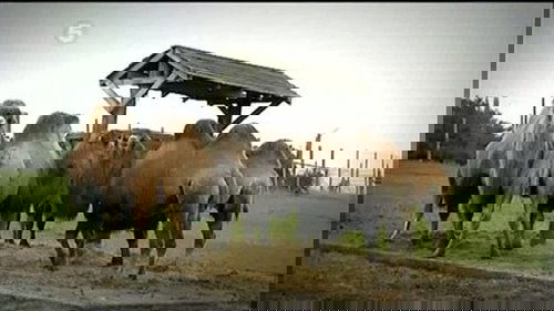 Image de l'épisode 8