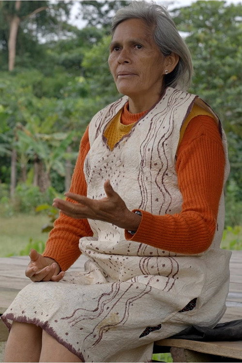 Pôster oficial de Wändari (2022) - Documentário