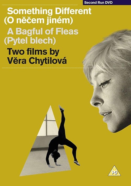 A Bagful of Fleas poster