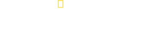 Shark Attack Investigation: The Paige Winter Story
