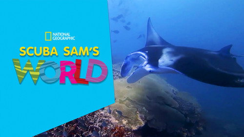Scuba Sam's World — Fondos 1