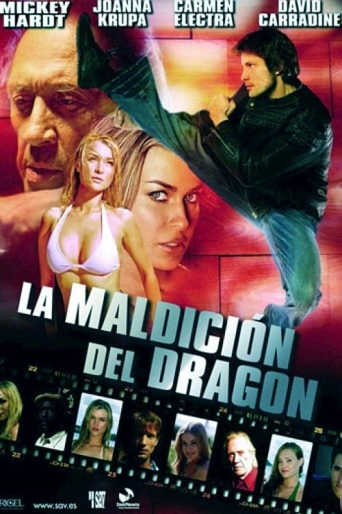 Max Havoc: Curse Of The Dragon poster