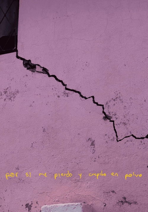 por si me pierdo y crepito en polvo