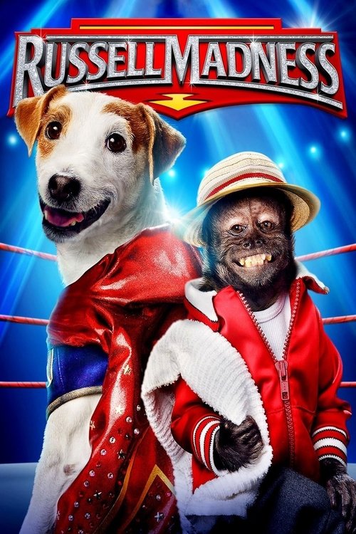 Russell, el perro luchador