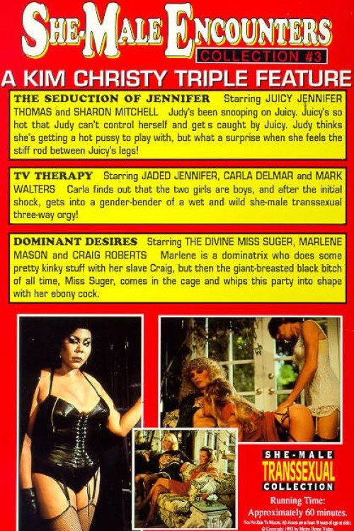 She-Male Encounters 3 still 3