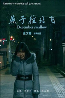 December Swallow poster