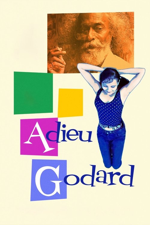 Adieu Godard poster