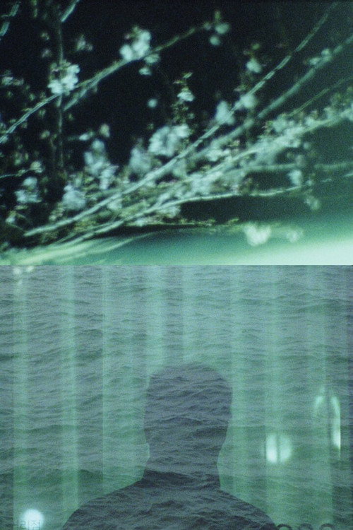 The Castaway