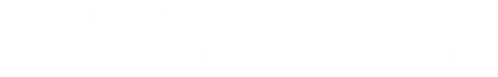 Tutto normale il prossimo Natale official logo