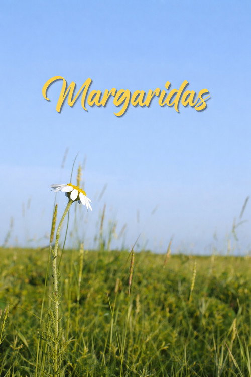 Margaridas.