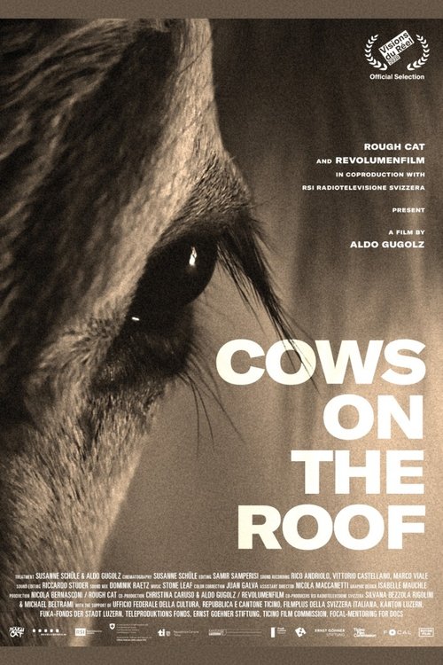 Cows on the Roof 2020