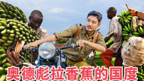 Episode 330