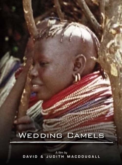 The Wedding Camels 1980