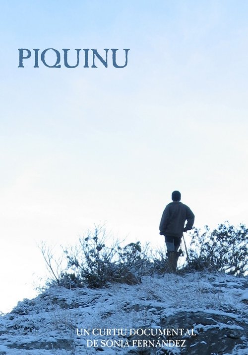 Piquinu (2012) poster