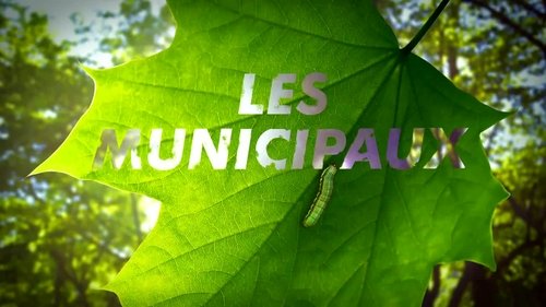 Les municipaux, la série