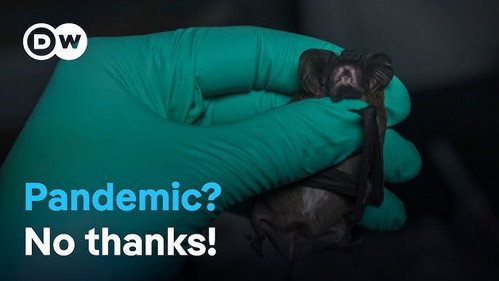 Tracking pandemics: Detecting new diseases early