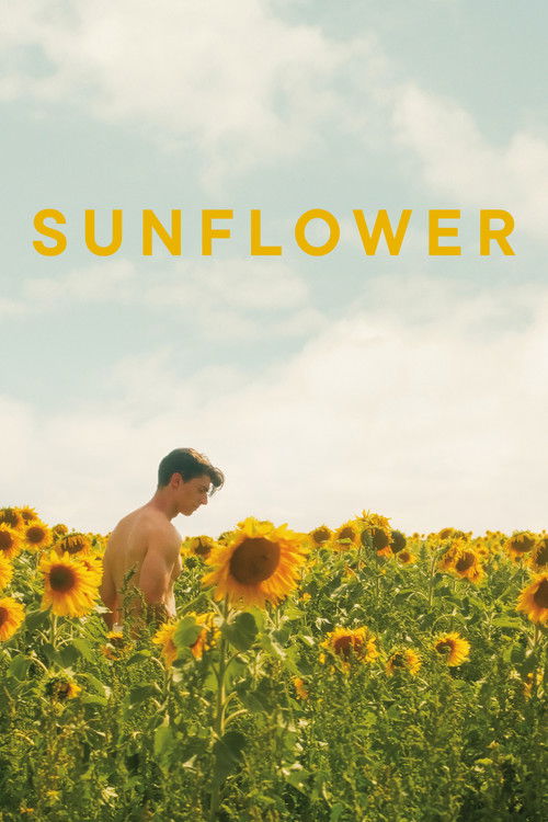 Sunflower poster