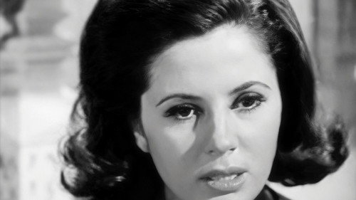 Episode #2.137 (pp-251)