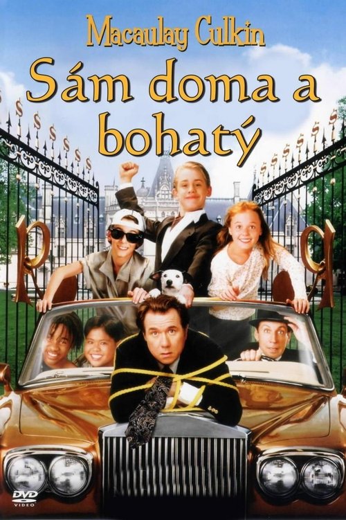 Sám doma a bohatý movie poster player
