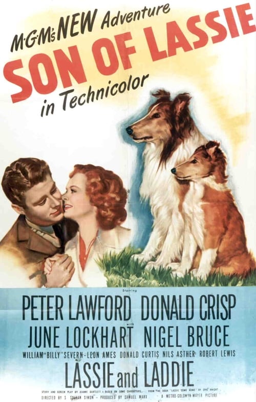 El cachorro de Lassie 1945