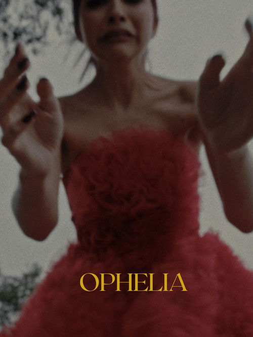 Beneath the Veil poster