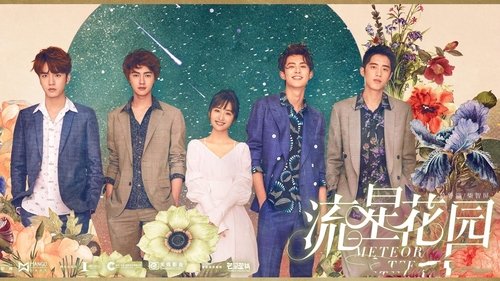 Meteor Garden backdrop 2