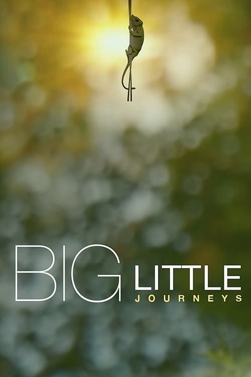 Big Little Journeys poster