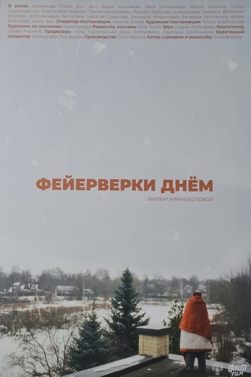 Фейерверки днём