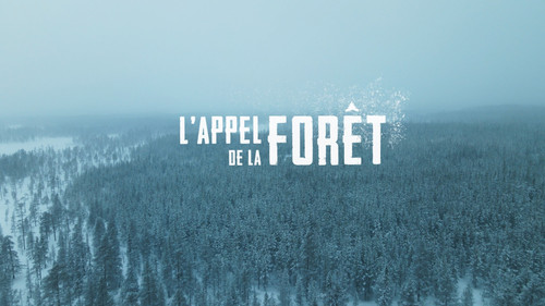 L'Appel de la forêt — Fondos 1