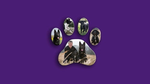 Dog Detectives - Season 1 Backdrop Blur