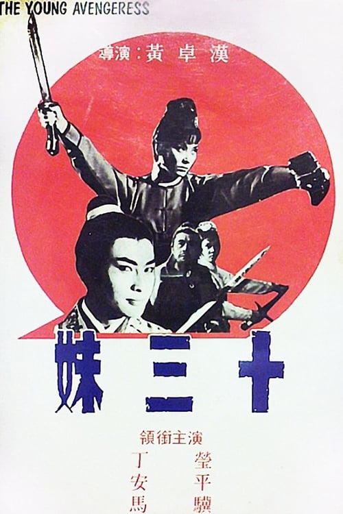 十三妹 (1969) poster