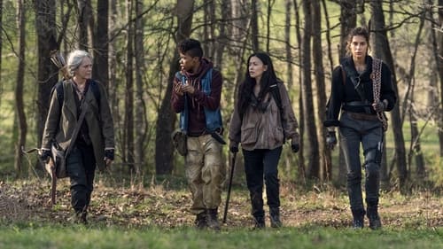 The Walking Dead: 11×3