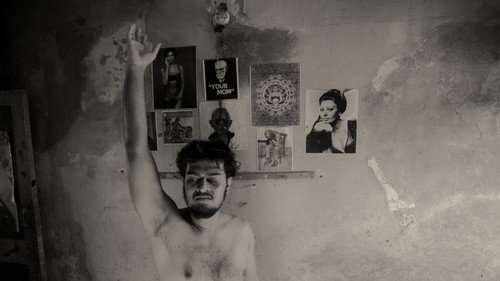 A Fly Floating In The Midst Of The Milk