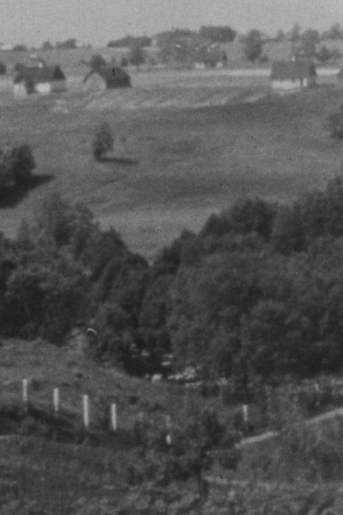 Viljandi linn ja ümbrus