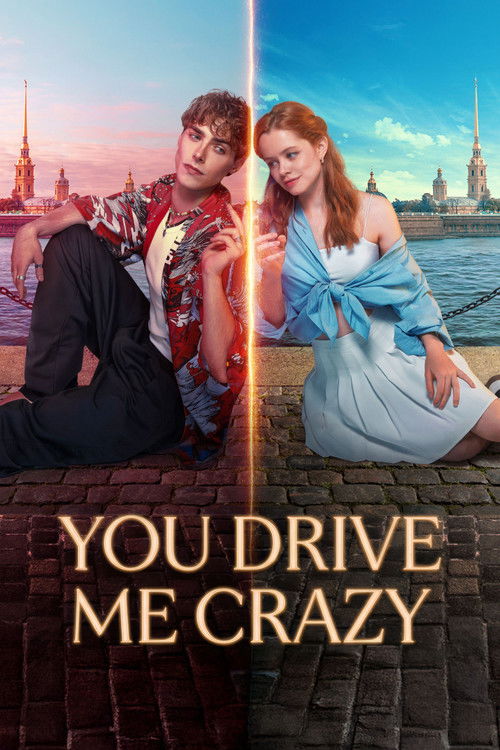 You Drive Me Crazy Poster