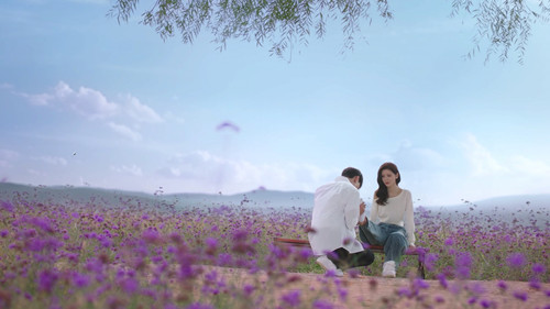 A Beautiful Lie backdrop 3