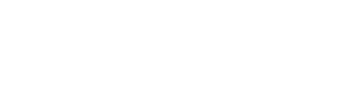 Жена Чайковского